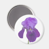 Lila Iris Magnet (Vorderseite/Rückseite)