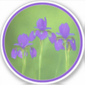 Lila Iris-Malerei - Original Blume Kunst Aufkleber (Vorderseite)