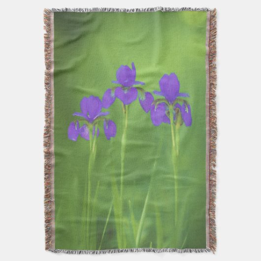 Lila Iris-Malerei - Original Blume Kunst Decke (Vorderseite Vertikal)