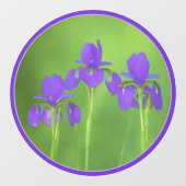 Lila Iris-Malerei - Original Blume Kunst Fensteraufkleber (Blatt)