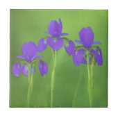 Lila Iris-Malerei - Original Blume Kunst Fliese (Vorderseite)