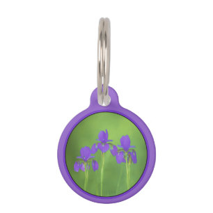 Lila Iris-Malerei - Original Blume Kunst Haustiermarke