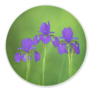 Lila Iris-Malerei - Original Blume Kunst Keramikknauf