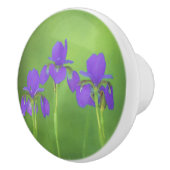 Lila Iris-Malerei - Original Blume Kunst Keramikknauf (Rechts)