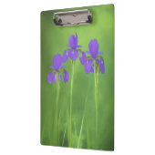 Lila Iris-Malerei - Original Blume Kunst Klemmbrett (Links)