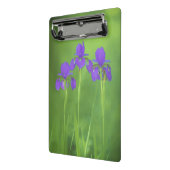 Lila Iris-Malerei - Original Blume Kunst Mini Klemmbrett (Gewinkelt2)