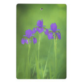 Lila Iris-Malerei - Original Blume Kunst Mini Klemmbrett (Rückseite)