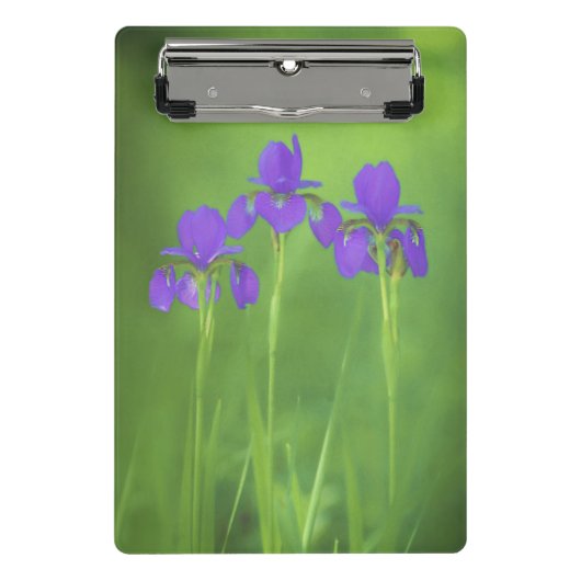 Lila Iris-Malerei - Original Blume Kunst Mini Klemmbrett (Vorderseite)