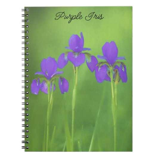 Lila Iris-Malerei - Original Blume Kunst Notizblock (Vorderseite)