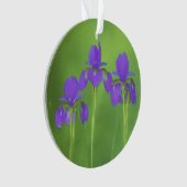 Lila Iris-Malerei - Original Blume Kunst Ornament (Vorderseite)
