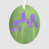 Lila Iris-Malerei - Original Blume Kunst Ornament (Vorderseite)