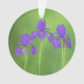 Lila Iris-Malerei - Original Blume Kunst Ornament (Vorderseite)