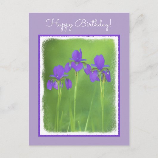 Lila Iris-Malerei - Original Blume Kunst Postkarte (Vorderseite)