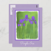 Lila Iris-Malerei - Original Blume Kunst Postkarte (Vorne/Hinten)
