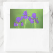 Lila Iris-Malerei - Original Blume Kunst Rechteckiger Aufkleber (Tasche)