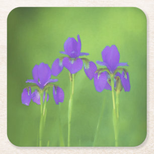 Lila Iris-Malerei - Original Blume Kunst Rechteckiger Pappuntersetzer