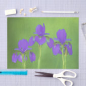 Lila Iris-Malerei - Original Blume Kunst Seidenpapier (Handwerk)
