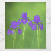 Lila Iris-Malerei - Original Blume Kunst Weinetikett (Einzelnes Label)