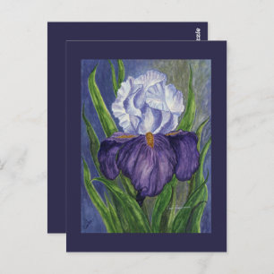 Lila Iris Mini Collectible Prints Postkarte