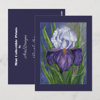 Lila Iris Mini Collectible Prints Postkarte