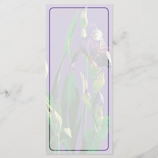 Lila Iris mit Fehlermenü Menükarte (Rückseite)