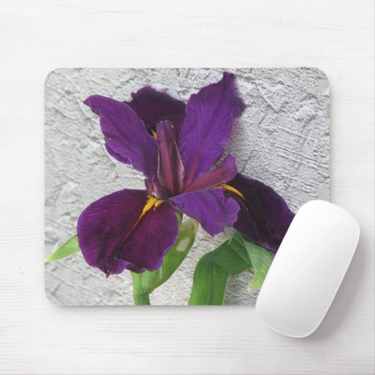 Lila Iris Mousepad (Mit Mouse)