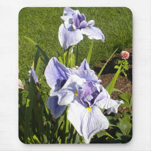 Lila Iris Mousepad (Vorne)