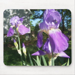Lila Iris Mousepad