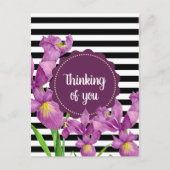 Lila Iris-Muster für Schwarz-weiße Streifen Postkarte (Vorderseite)
