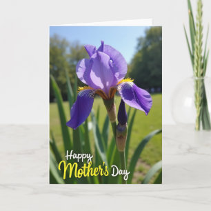 Lila Iris Muttertagskarte Karte