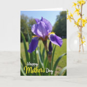 Lila Iris Muttertagskarte Karte (Gelbe Blume)