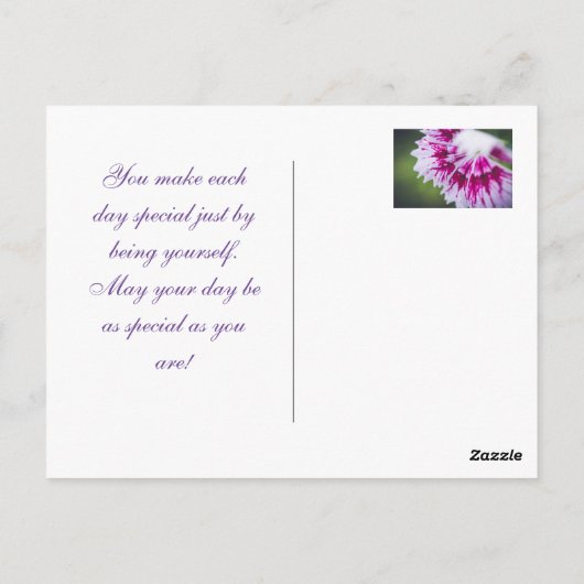 Lila Iris nach Regen Postkarte (Rückseite)