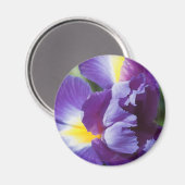 lila Iris nah Magnet (Vorderseite/Rückseite)