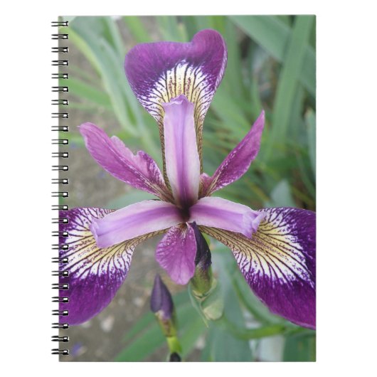 Lila Iris-Notebook Notizblock (Vorderseite)