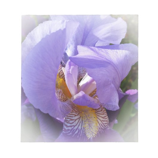 lila Iris Notizblock (Vorderseite)
