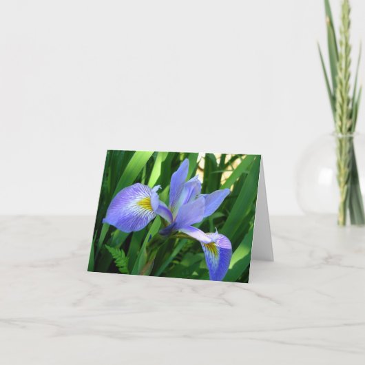 Lila Iris Notizkarte Karte (Vorderseite)