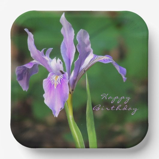 Lila Iris-Papierplatte Pappteller (Vorderseite)