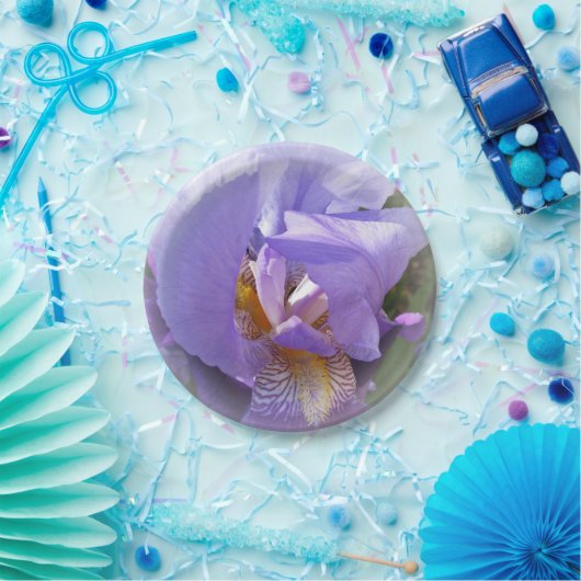 lila Iris Pappteller (Party)