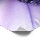 Lila Iris-Plakat Poster (Ecke)