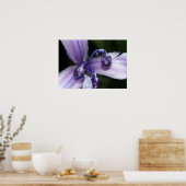 Lila Iris-Plakat Poster (Küche)