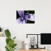 Lila Iris-Plakat Poster (Heimbüro)