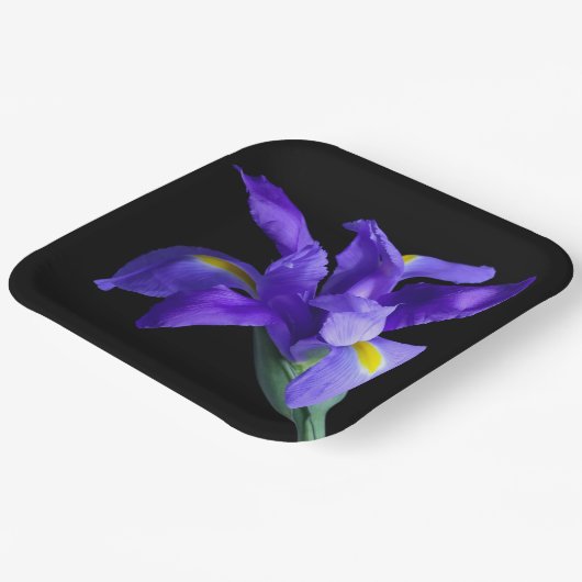 Lila Iris-Platine Pappteller (Gewinkelt)