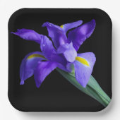 Lila Iris-Platine Pappteller (Vorderseite)
