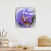 lila Iris Poster (Küche)