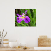 Lila Iris Poster (Küche)