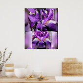 Lila Iris Poster (Küche)