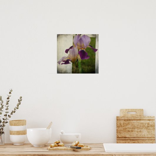 Lila Iris Poster (Küche)