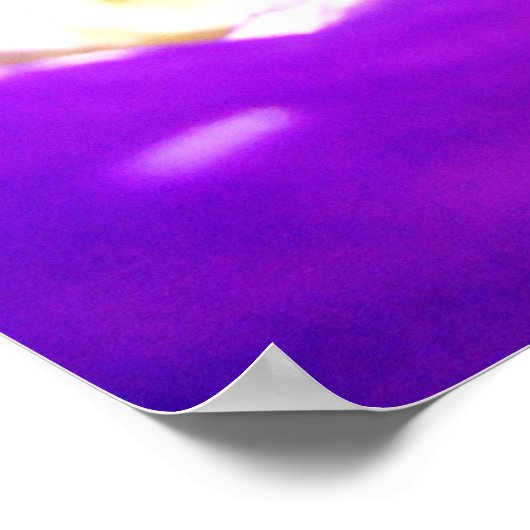 Lila Iris Poster (Ecke)