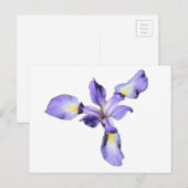 Lila Iris Postkarte (Vorne/Hinten)