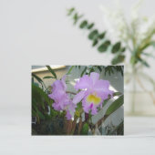 Lila Iris Postkarte (Stehend Vorderseite)